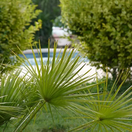 Apartment Des Palmiers *